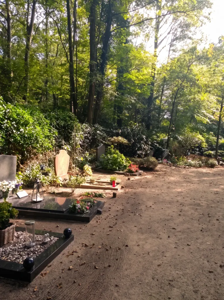 Graven langs een zandpad tussen hoge bomen op RK Begraafplaats Adelbert in Bloemendaal