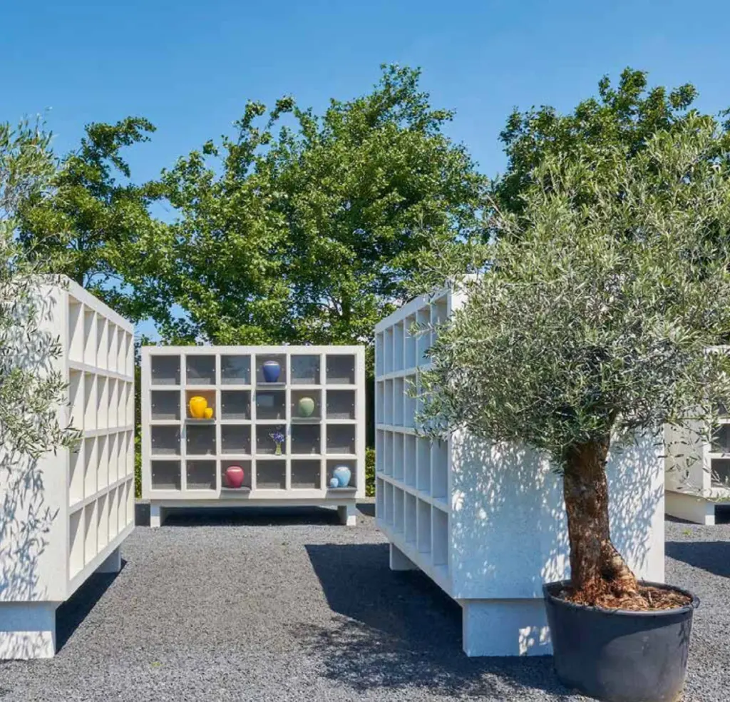 Een witte urnenmuur met vakjes achter glas, met een olijfboom in een pot ervoor