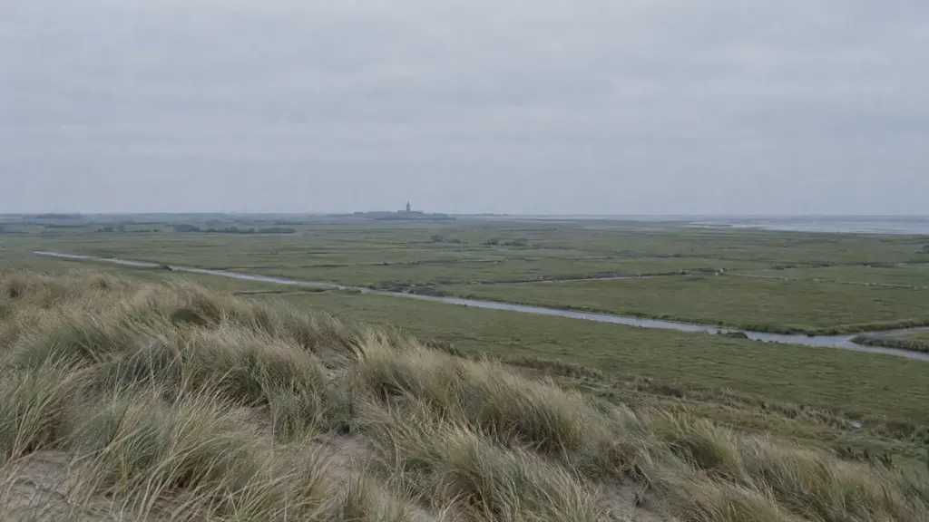 Duinen met helmgras, daarachter vlak polderland onder een grijze lucht