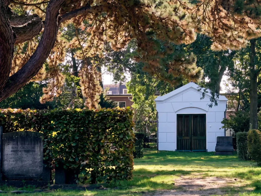 Het witte baarhuisje met groene deuren achter een haag onder een oude den op de Westerbegraafplaats in IJmuiden