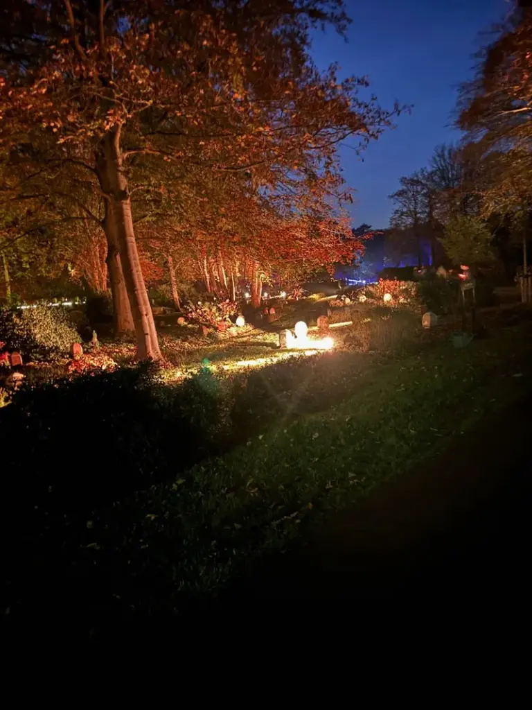 Kaarsen en verlichting op Westerveld tijdens Allerzielen in de avond